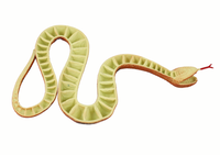ZABAWKOWY SZTUCZNY GUMOWY WĄŻ BRĄZOWY1SZT
