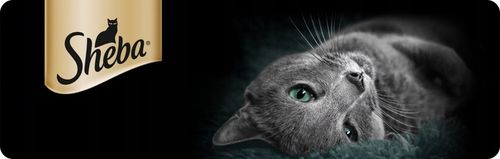SASZETKI SHEBA KITTEN WYBÓR SMAKÓW Z ŁOSOSIEM I KURCZAKIEM 40X85G na Arena.pl