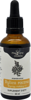 NANGA BYLICA ROCZNA ARTEMISIA WYCIĄG 1:1 50ml wsparcie: PRAWIDŁOWY CUKIER