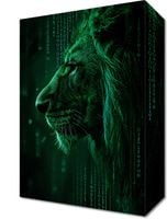 Obraz 20x30cm Kod Siły