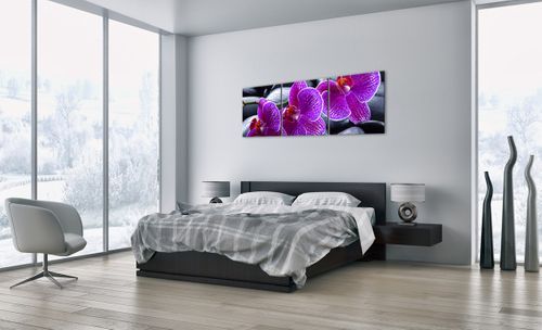 Obraz Na Płótnie - Storczyk Kamień - 150X50 Cm - Ca150X50-0440 na Arena.pl