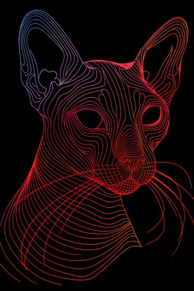 Plakat 30x45cm Cyfrowa Kocica zdjęcie 1