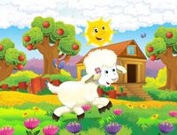 product-compare-62091277