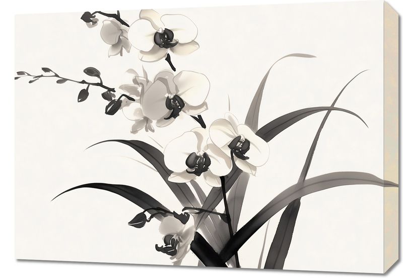 Obraz 70x50cm Orchidea zdjęcie 1