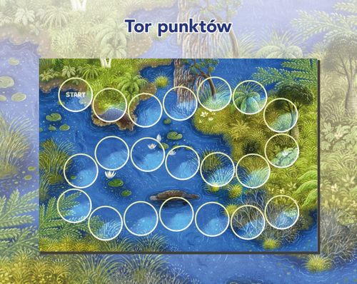 Gra Dziobaki na Arena.pl