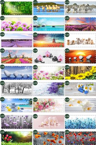 Mata balkonowa NA WYMIAR na balkon wzory kwiatowe i zwierzęce na Arena.pl