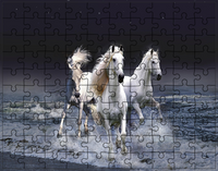 Puzzle Konie