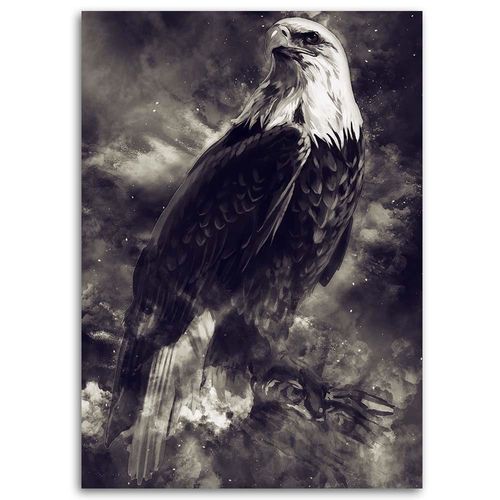 Obraz na płótnie - Canvas, Orzeł białogłowy 70x100 na Arena.pl