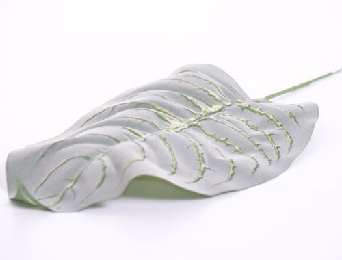 Liść flokowany na Arena.pl