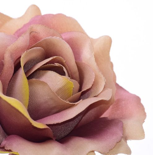 Róża główka na Arena.pl