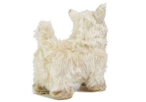 Interaktywny Pies Chihuahua Porusza się, Szczeka na Arena.pl