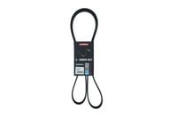 PASEK MICRO-V 6 PK 1795 NISSAN INTERSTAR 2002 2003 2004 2005 2006