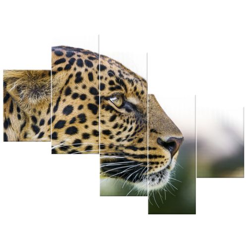 Obraz Płótno 100X75 Lampart - Tambako The Jaguar na Arena.pl