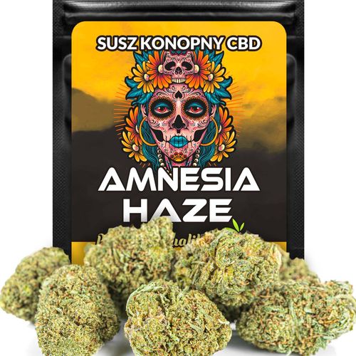 Susz konopny CBD | AMNESIA HAZE | 100 g na Arena.pl