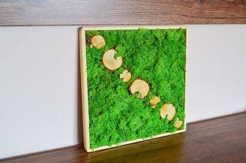 Tacka drewniana 30x30x2 cm na Arena.pl