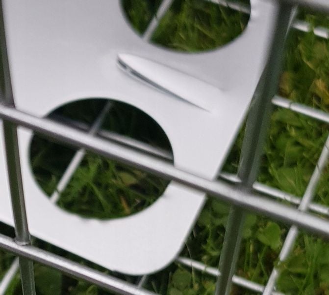 żywołapka pułapka na szczury gryzonie szczurołapka zdjęcie 11