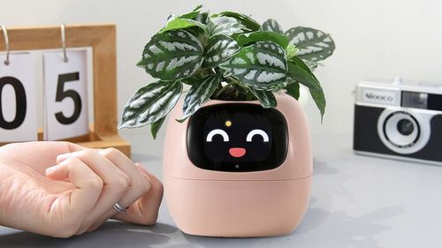 Inteligentna doniczka IVY SMART PLANTER osłonka na donicę PLANTSIO RÓŻOWA na Arena.pl