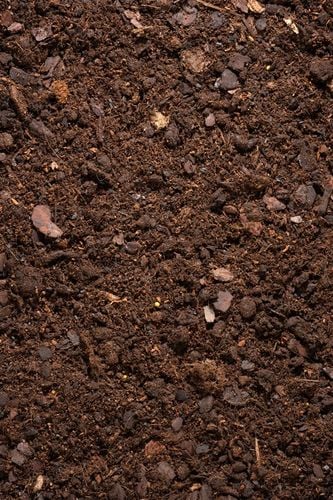 Ziemia do SKRZYDŁOKWIATA, BANANOWCA, PACHIRY i PAPROCI 5L bigos, na Arena.pl