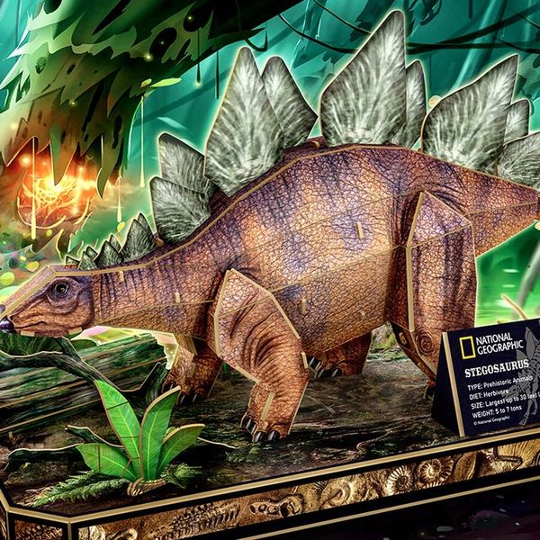 Puzzle 3D National Geographic Stegozaur - Cubic Fun zdjęcie 11