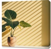 product-compare-59478582