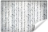 Fototapeta Do Sypialni LAS Brzozy Abstrakcja Natura Rośliny 135cm x 90cm