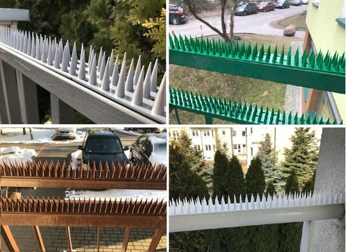 WYSOKIE KOLCE NA PTAKI GOŁĘBIE KUN KOLORÓW 10 SZT 5 METRÓW KOLOR na Arena.pl