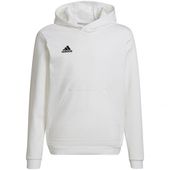 Bluza adidas Entrada 22 Hoody Jr HG6303 128 cm