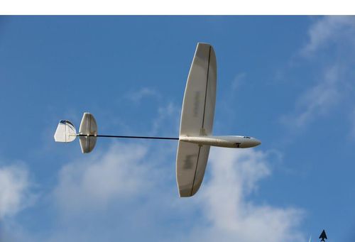 Whipit DLG Bind & Fly Basic na Arena.pl