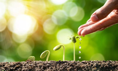 BIOVITA ZIEMIA UNIWERSALNA DO KWIATÓW ROŚLIN 50L na Arena.pl