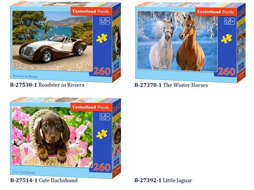 Castorland piękne Puzzle 260 elem. CLASSIC CA0009 na Arena.pl