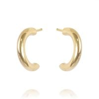 kolczyki ze stali szlachetnej pozłacanej kst2838