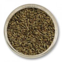 Słód bursztynowy Viking Malt (30-70 EBC) 0,5kg