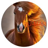 Opłatek na tort KONIE Koń Mustang Konik Kuc Urodziny Tekst Gratis