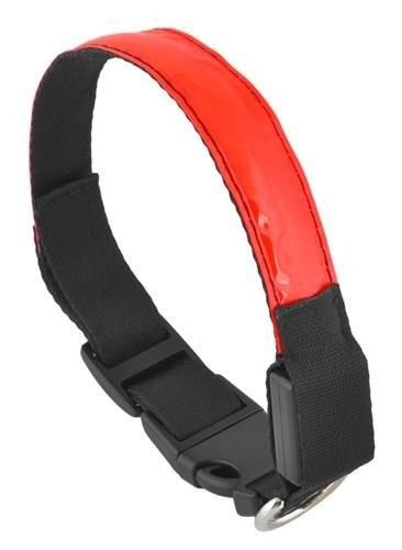 Obroża LED czerwona - S na Arena.pl