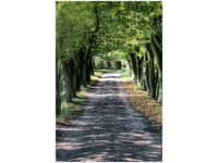 product-compare-58648793