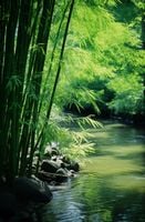 product-compare-59357492