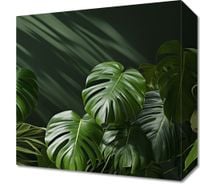 product-compare-59466906