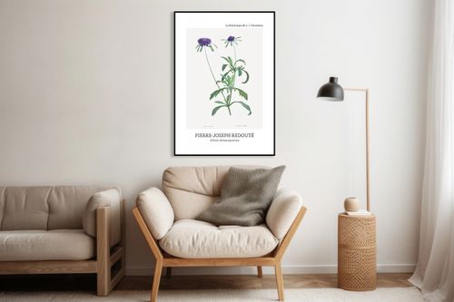 Plakat 60x80cm Design Allium Atropurpureum, Redoute Vintage do Salonu na Arena.pl
