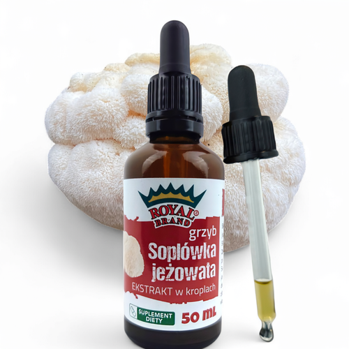 Lion's Mane (Soplówka Jeżowata) - silny ekstrakt w kroplach 50ml do herbaty na Arena.pl