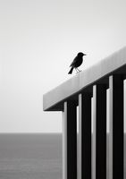 product-compare-59366594