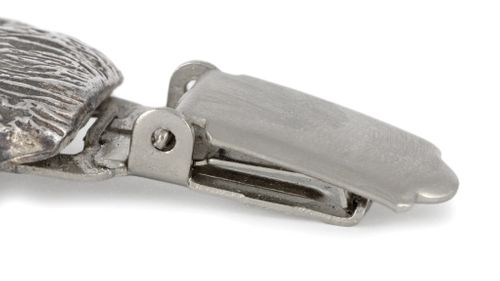 Chihuahua - klips - 2573 na Arena.pl