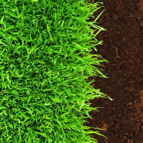 Nawóz Letni Uniwersalny Barenbrug BarFertile Universal 5KG na Arena.pl