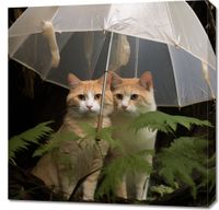 Obraz 70x70cm Podwójna Ochrona