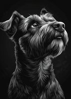 Plakat 50x70cm Portret Zwierząt do Salonu Pokoju | Terier | Czarno Białe