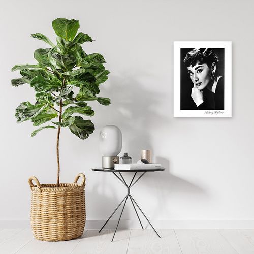 Deco Panel, Audrey Hepburn 50x60 na Arena.pl