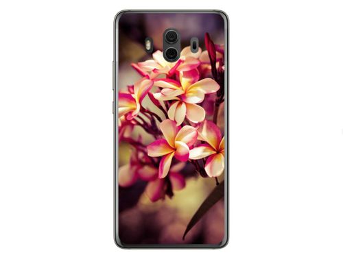 HUAWEI MATE 10 | Etui smartfon CASE na Arena.pl