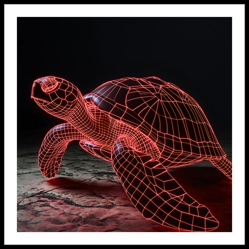Plakat 50x50cm Neonowy Żółw na Arena.pl