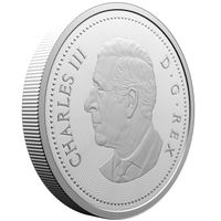 Canada: Multilayered Beaver 5-cent Srebro 2025 Proof