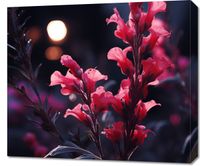 Obraz 70x60cm Wieczorny Blask