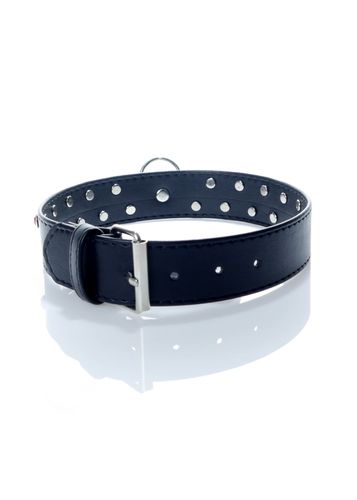 fetish b   series   collar 3 cm. red crystal na Arena.pl